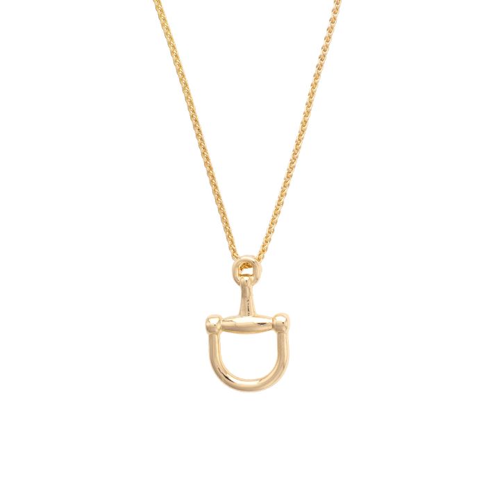Wild Again Cinnamon Horsebit Necklace